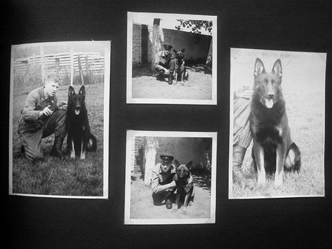 Foto 15